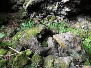 conco di Liricio-24-03-2013 10-22-24